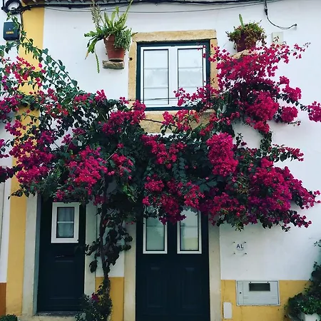 Casa Da Buganvilia Tomar